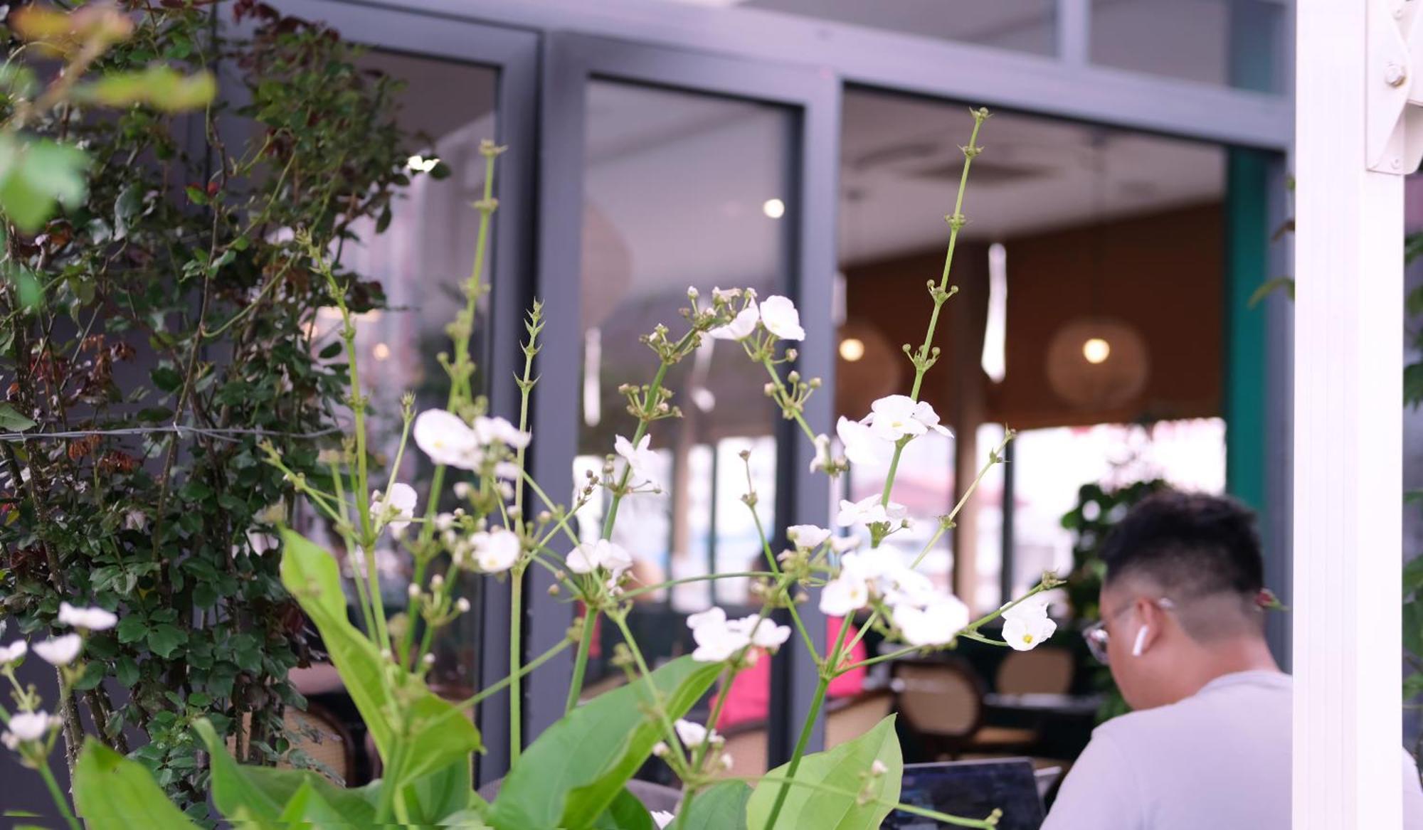 The Bloom - Bespoke Living Апарт-отель Ханой